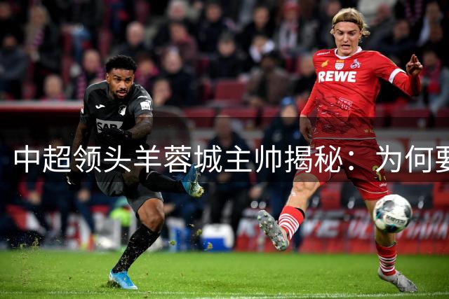 中超领头羊蓉城主帅揭秘：为何要向西班牙足球"取经